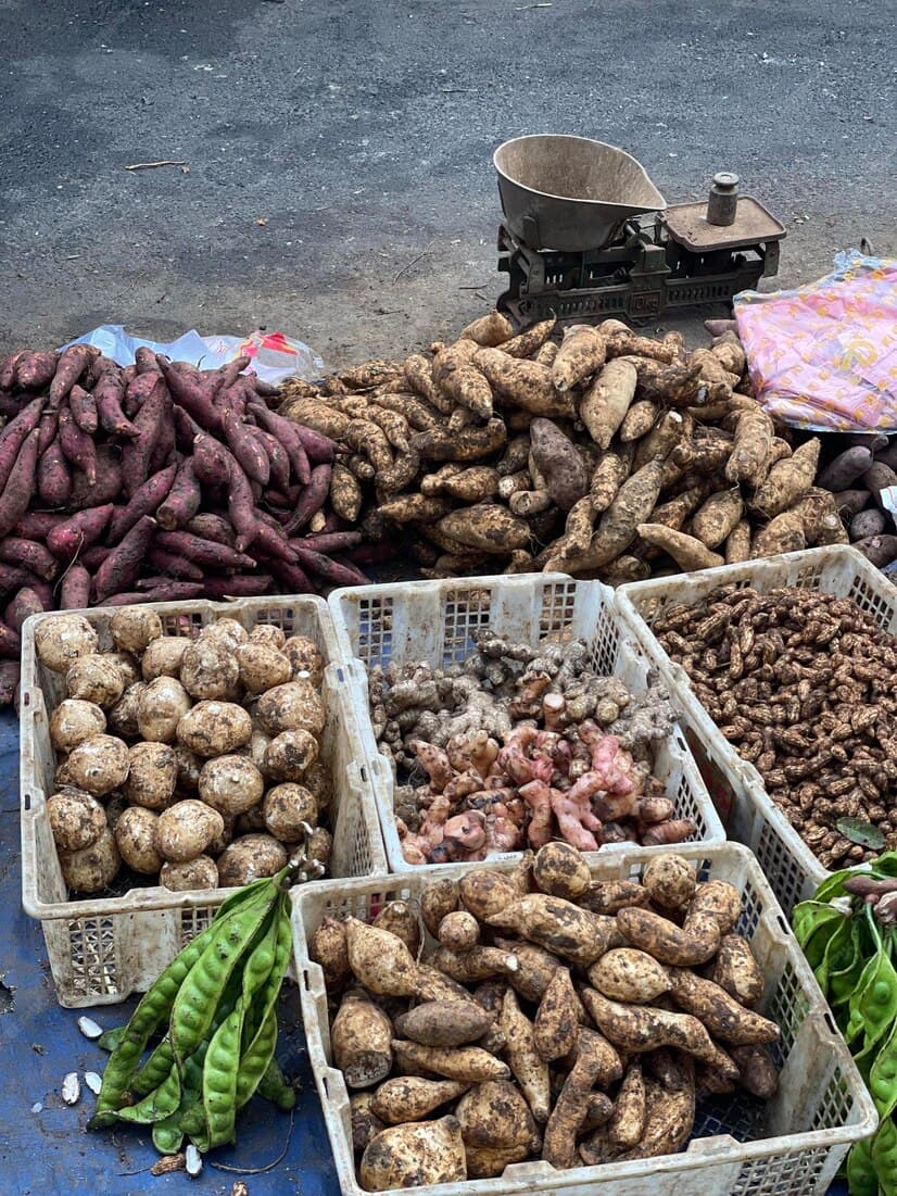 Tubers and Roots